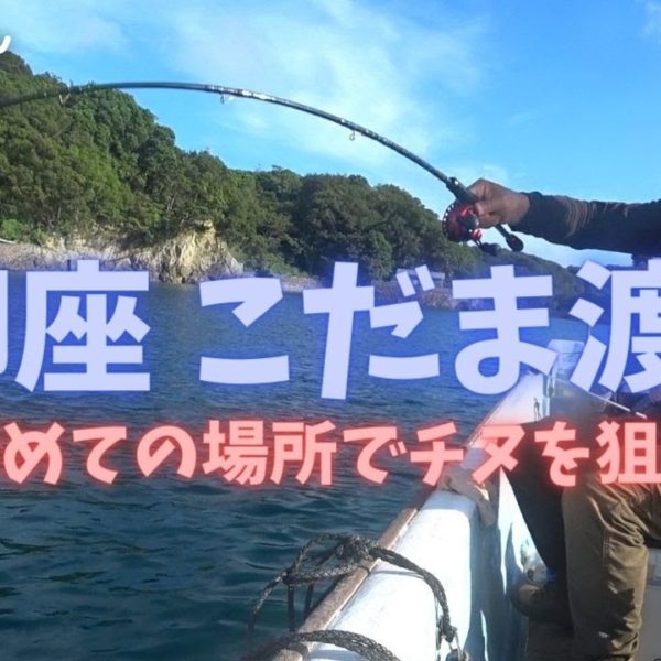 【かかり釣り】7/30 真珠棚を回遊するチヌを狙ってみたよ　三重県志摩市御座 こだま渡船