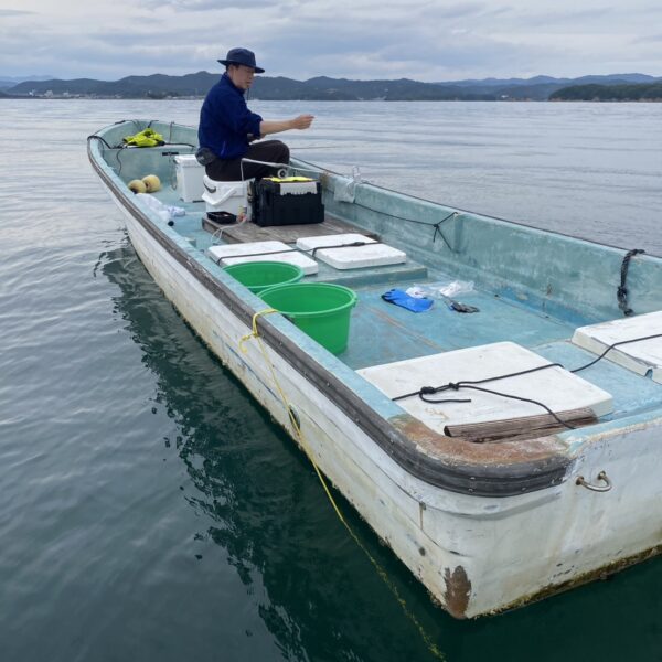 こだま渡船　カセ釣り釣果　2025/11/02