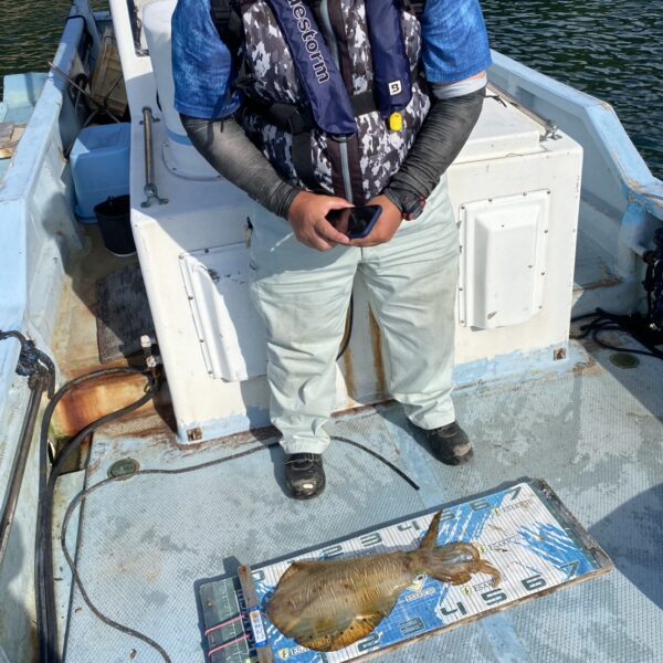こだま渡船　カセ釣り釣果　2026/05/31