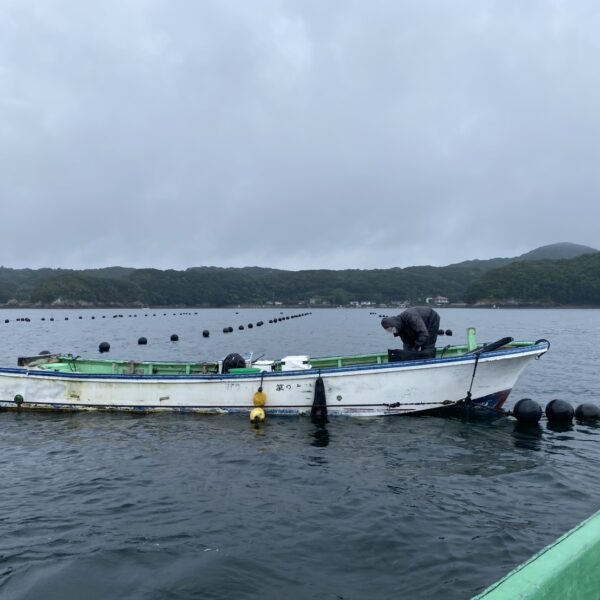 こだま渡船　湾内磯釣り釣果　2026/07/04